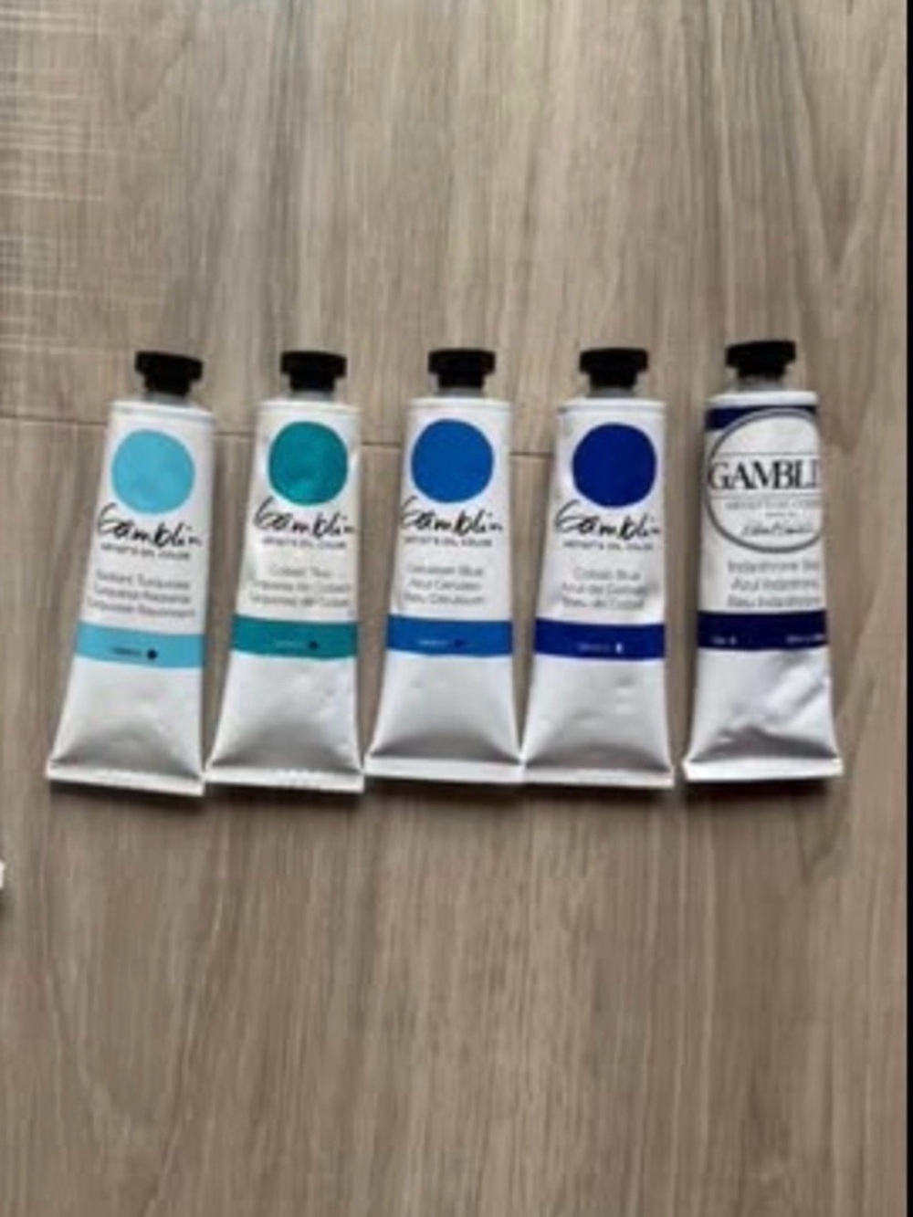 NEW Gamblin Artist Oil Paint Lot – High series artist grade oil paint